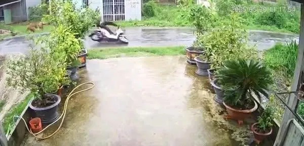 2 thanh niên đi xe máy vướng vào dây điện tuvong tại chỗ đầy xót xa