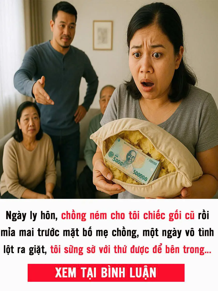 Ngày ly hôn, chồng ném cho tôi chiếc gối cũ rồi mỉa mai trước mặt bố mẹ chồng, một ngày vô tình lột ra giặt, tôi sững sờ với thứ được để bên trong