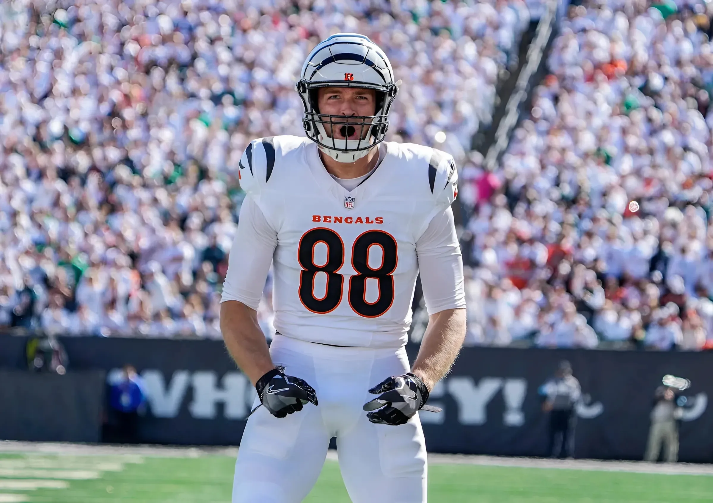 Cincinnati Bengals Tight End Mike Gesicki Ranked Too Low in Pro Football Focus's Latest Rankings