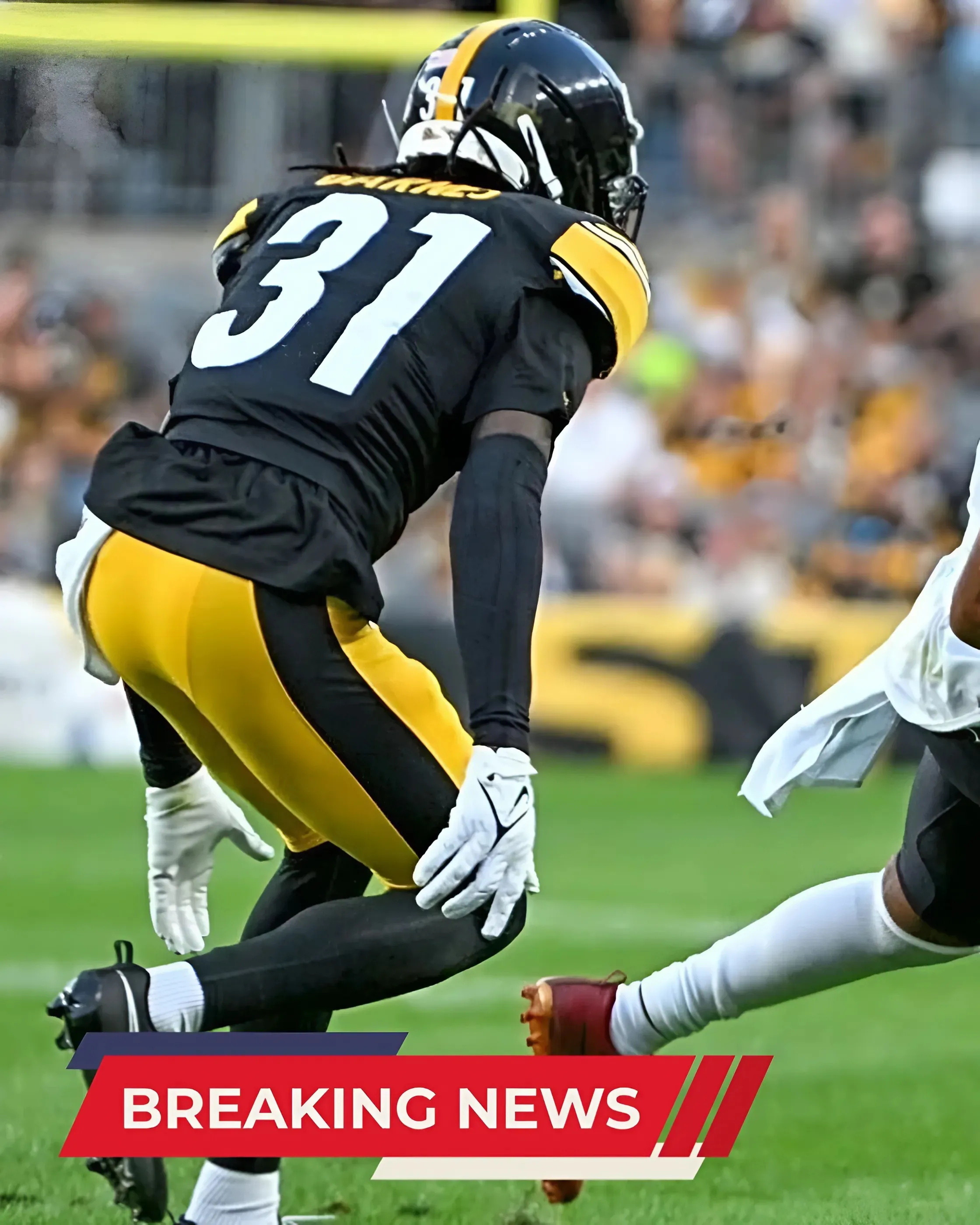 Steelers Receiver Hoping To Resemble Hines Ward