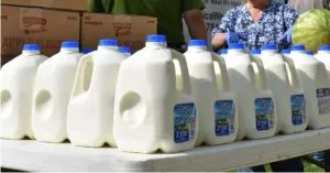 F. Purpose of the Circular Dent on Milk Jugs