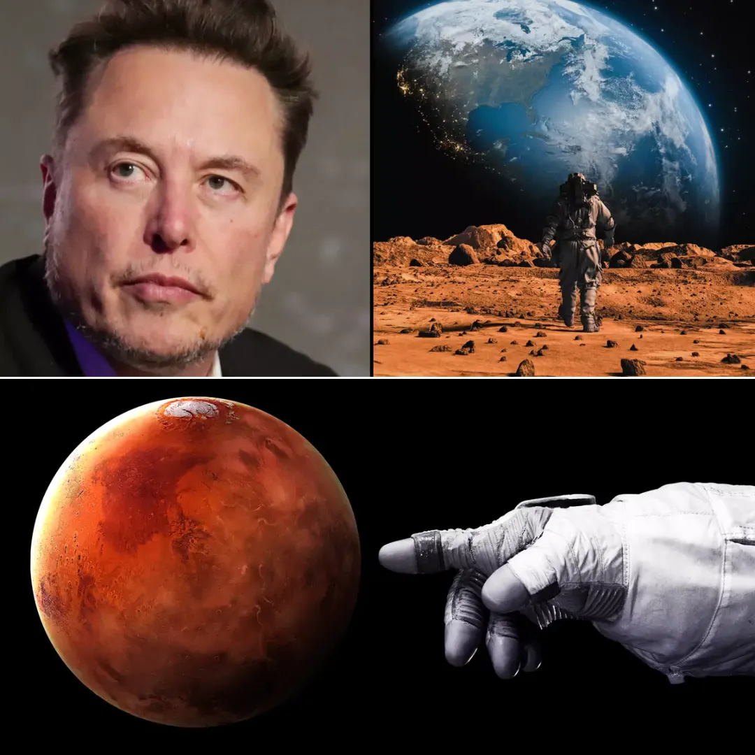 Elon Musk Reveals Billion Dollar Backer and Five Things to Know About Mars Colonization Plan