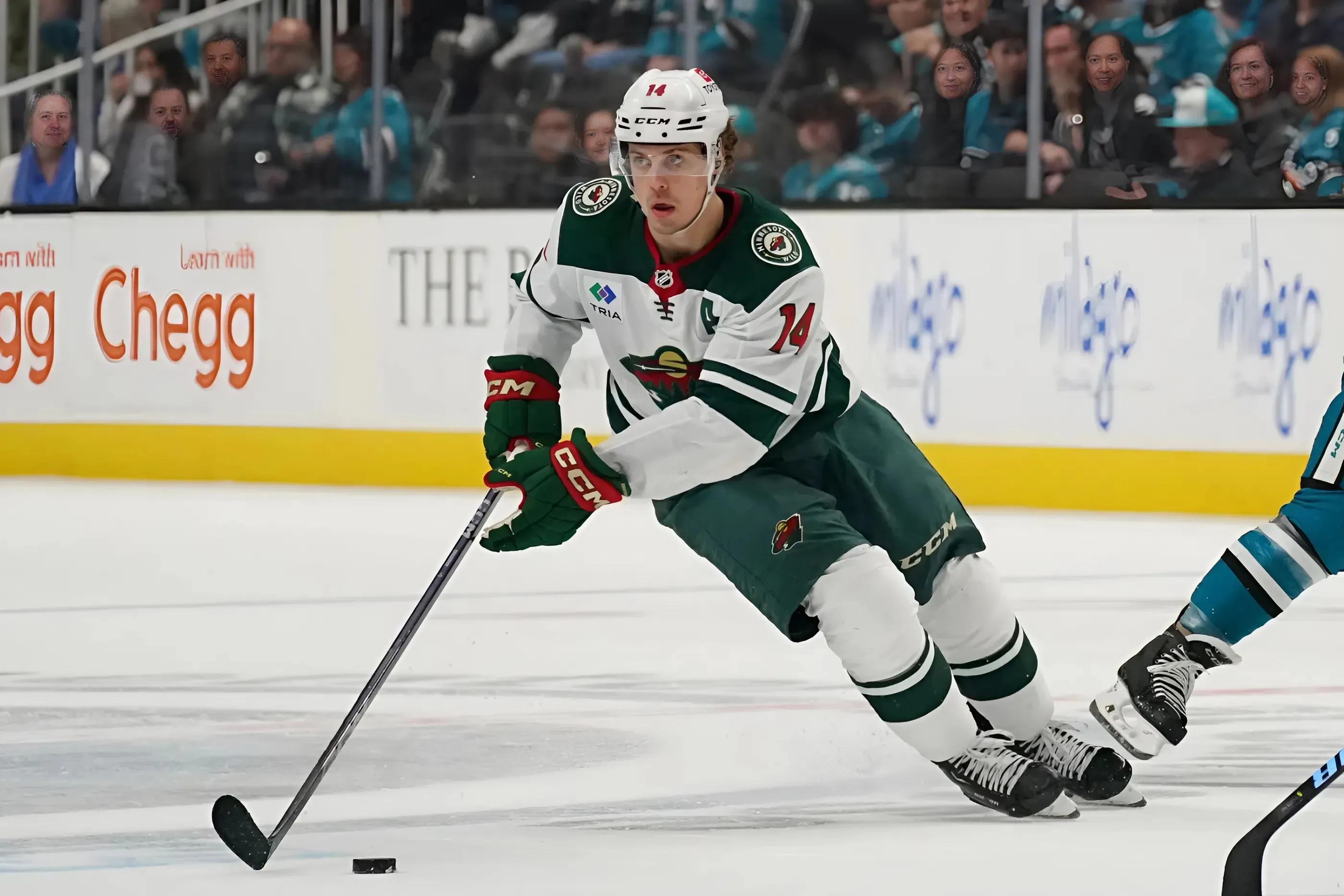 Wild Forward Finishes 24th In 2025 Selke trophy Voting