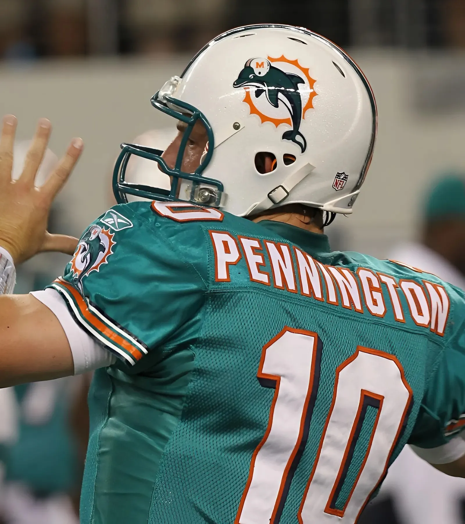 The Dolphins Have Rebuilt Limbo The Dolphins Have Rebuilt Limbo