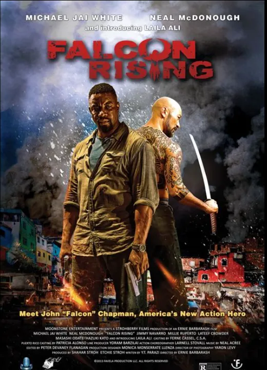 FALCON RISING