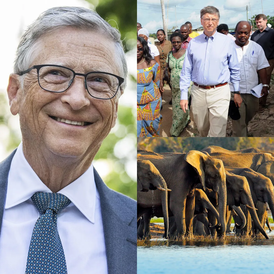 Bill Gates is turning Africa into his own 'power playground' with $2000000000000000000