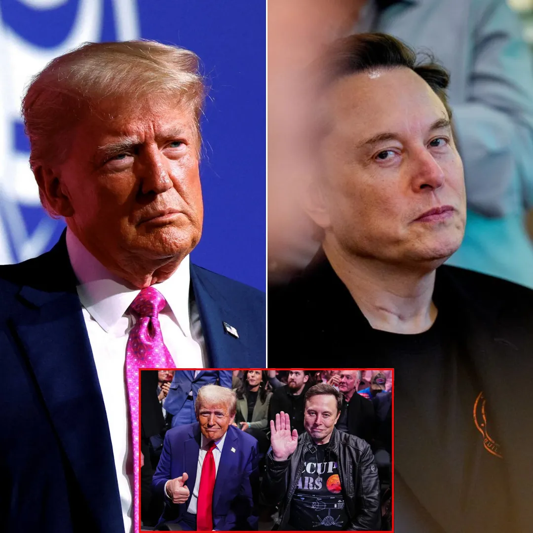 The Truth Behind the 'Mutually Beneficial Friendship' Between Musk and Trump
