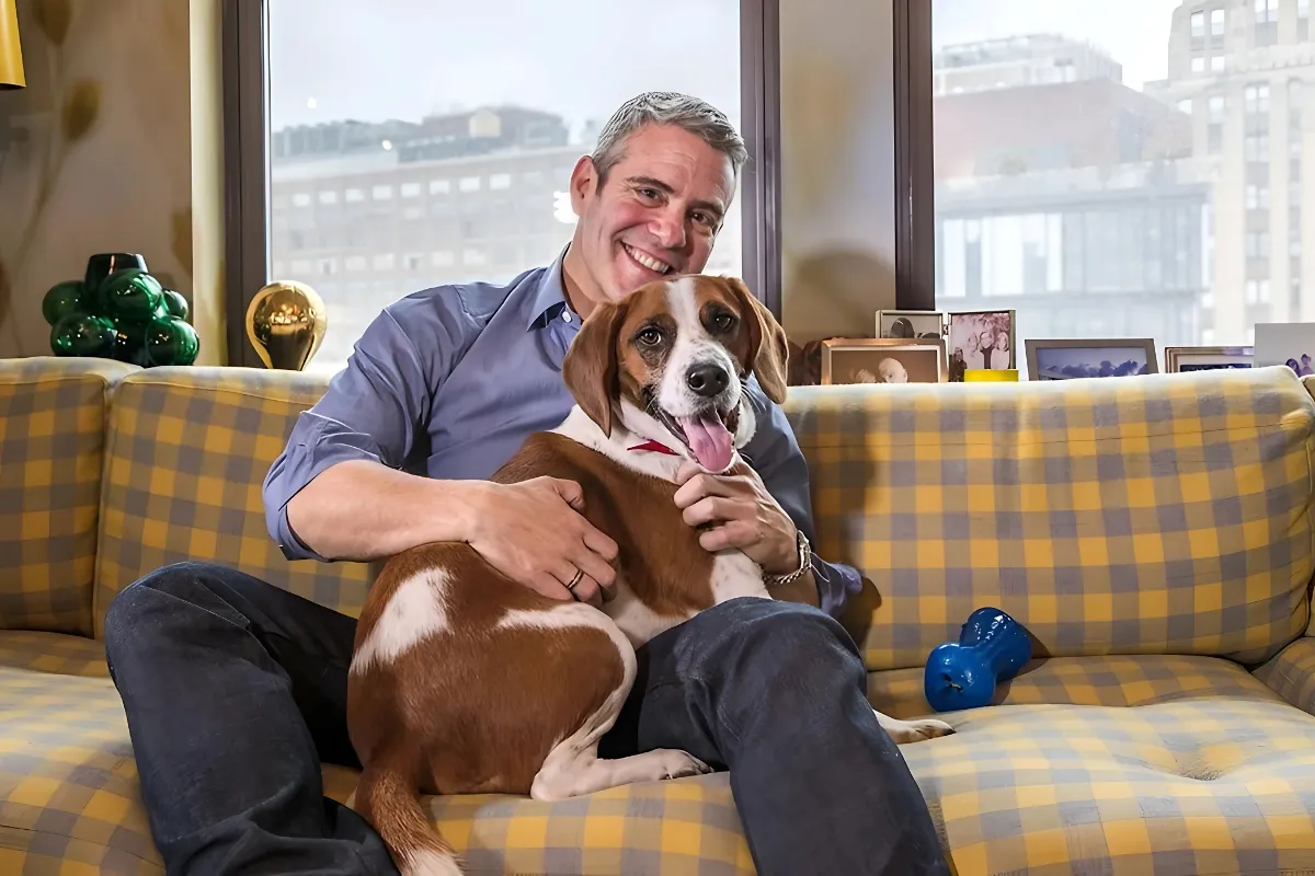 TV host Andy Cohen curates Pride Month collection for 1stDibs - lulu