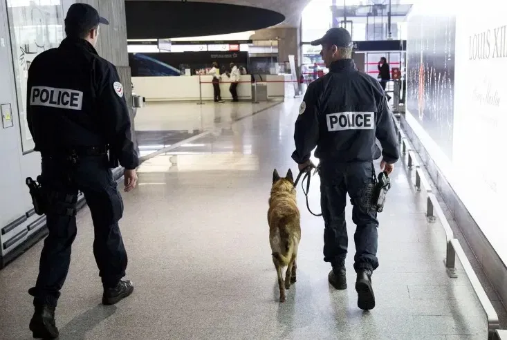 3. The police dog, seeing this bag at the airport, began to whine and look at the border guard, attracting his attention