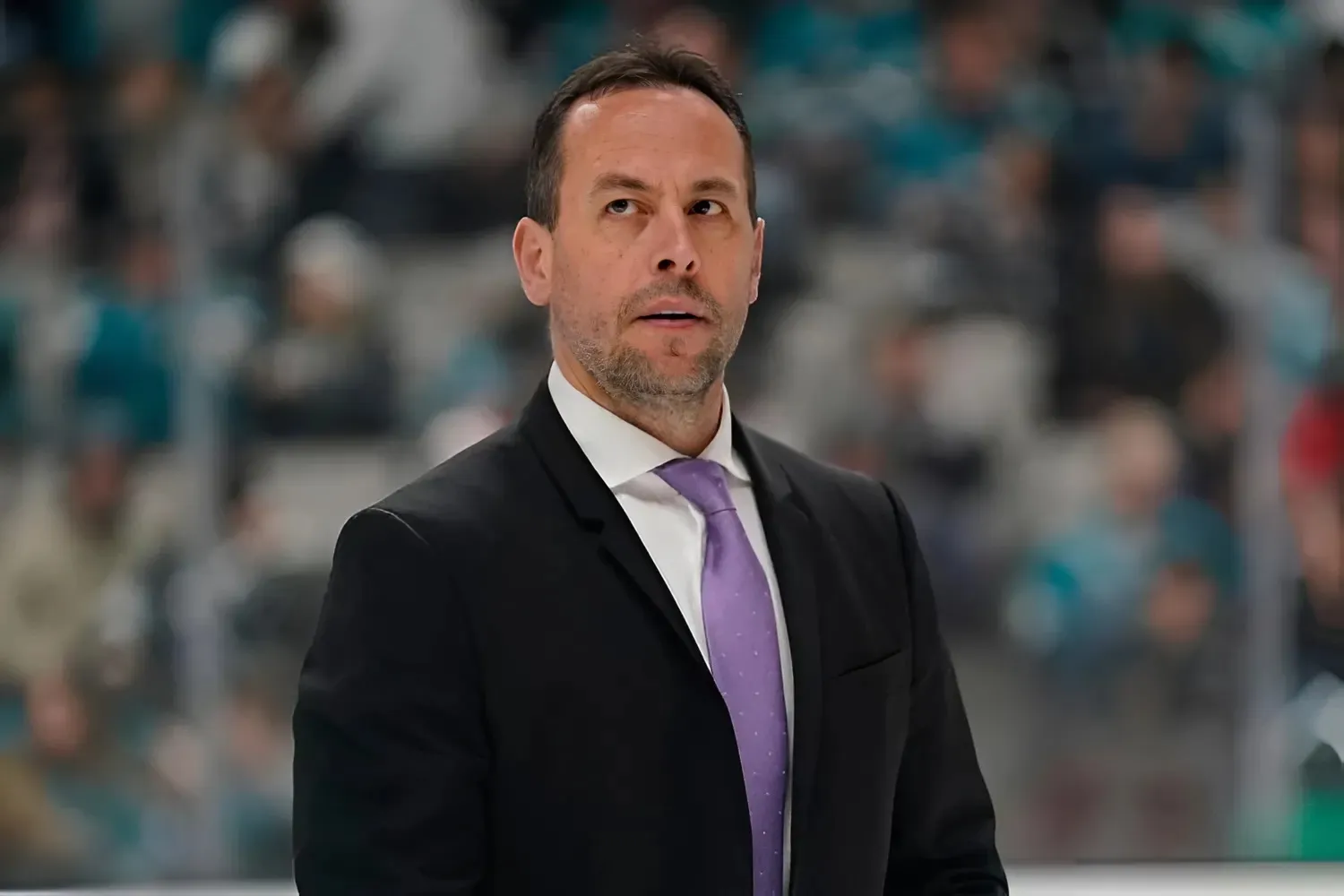 Bruins hire former player Marco Sturm as 30th head coach