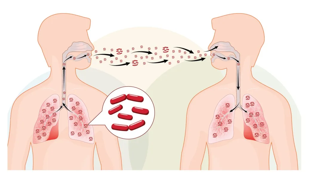 4.. 10 Most Dangerous Diseases in Today's Society