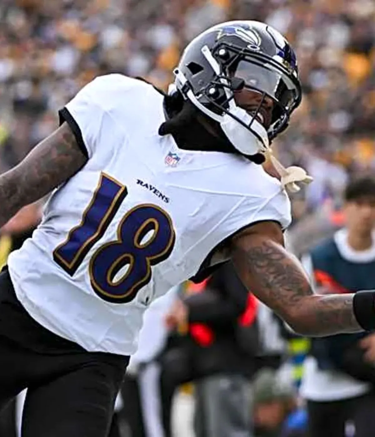 Cleveland Browns May Have Big Plan with New Wide Receiver
