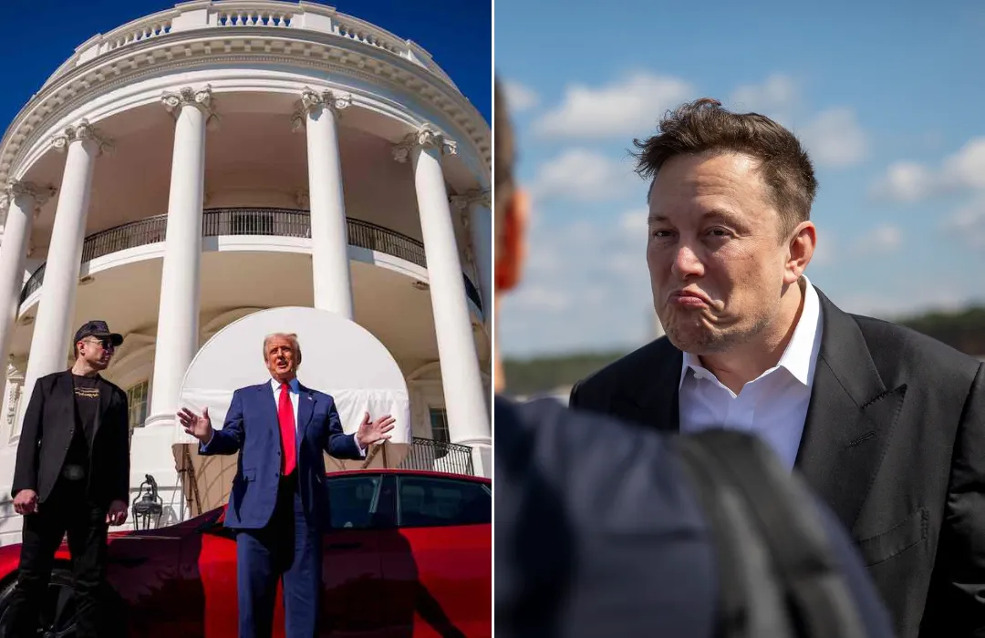 Elon Musk Directly Targets the White House