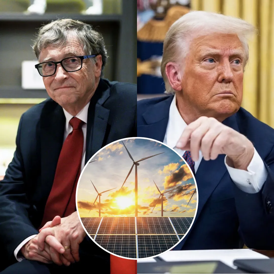 Bill Gates is determined to fight for renewable energy despite political pressure against him