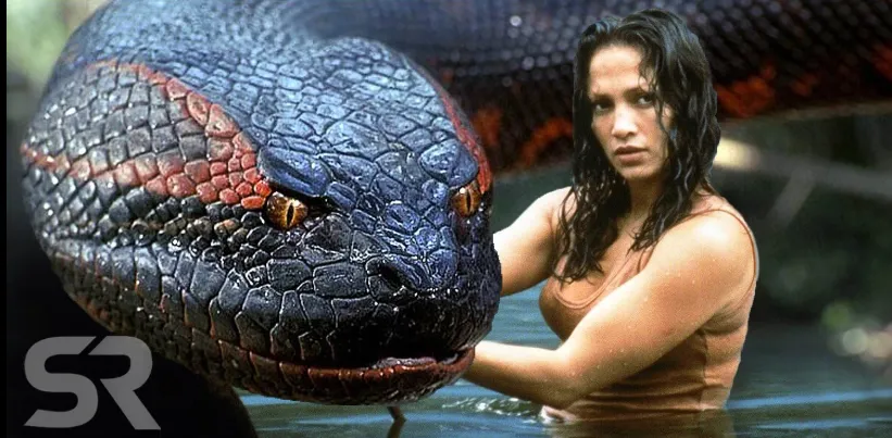 ANACONDA