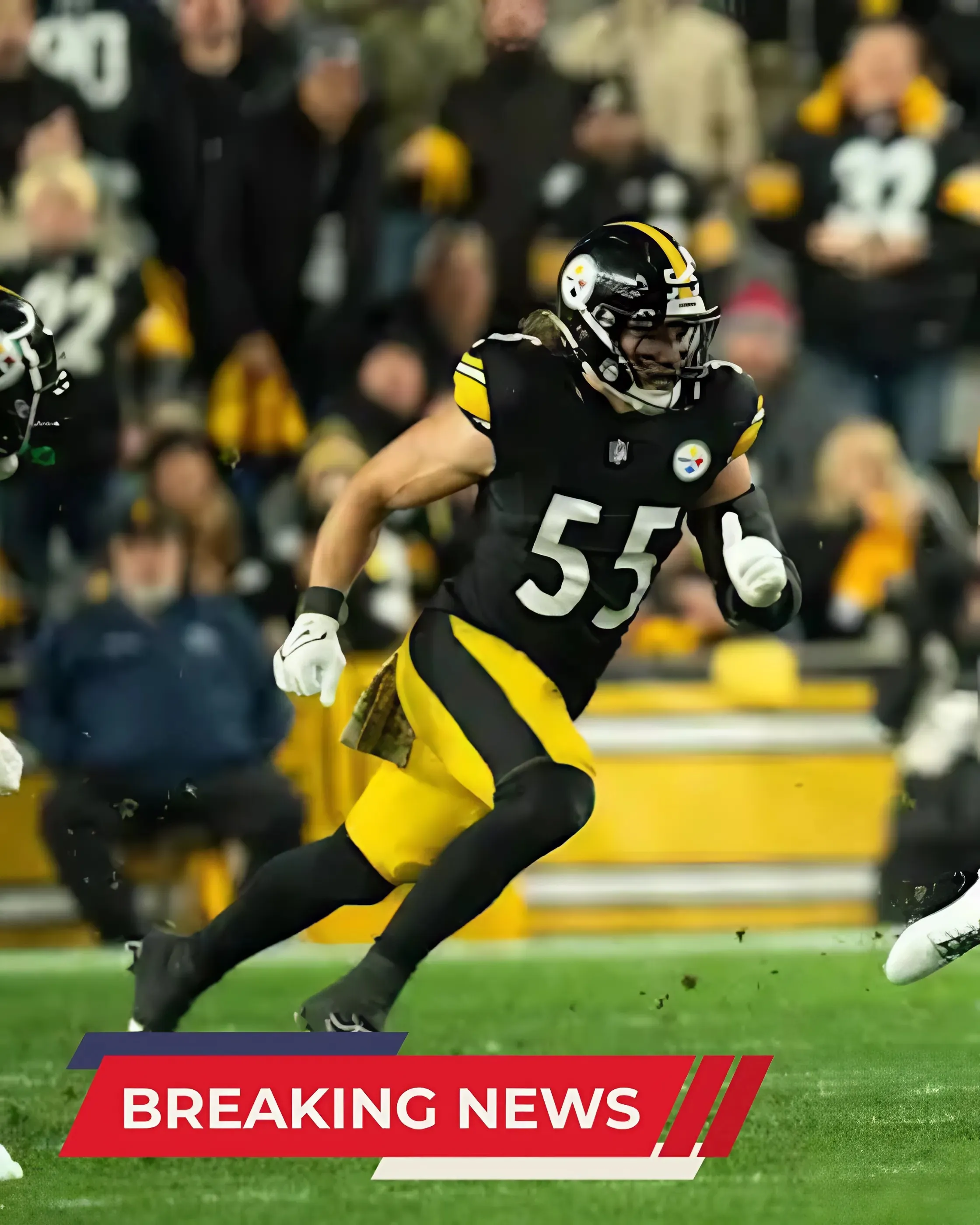 Pittsburgh Steelers LB Finally Makes Long-Awaited Return