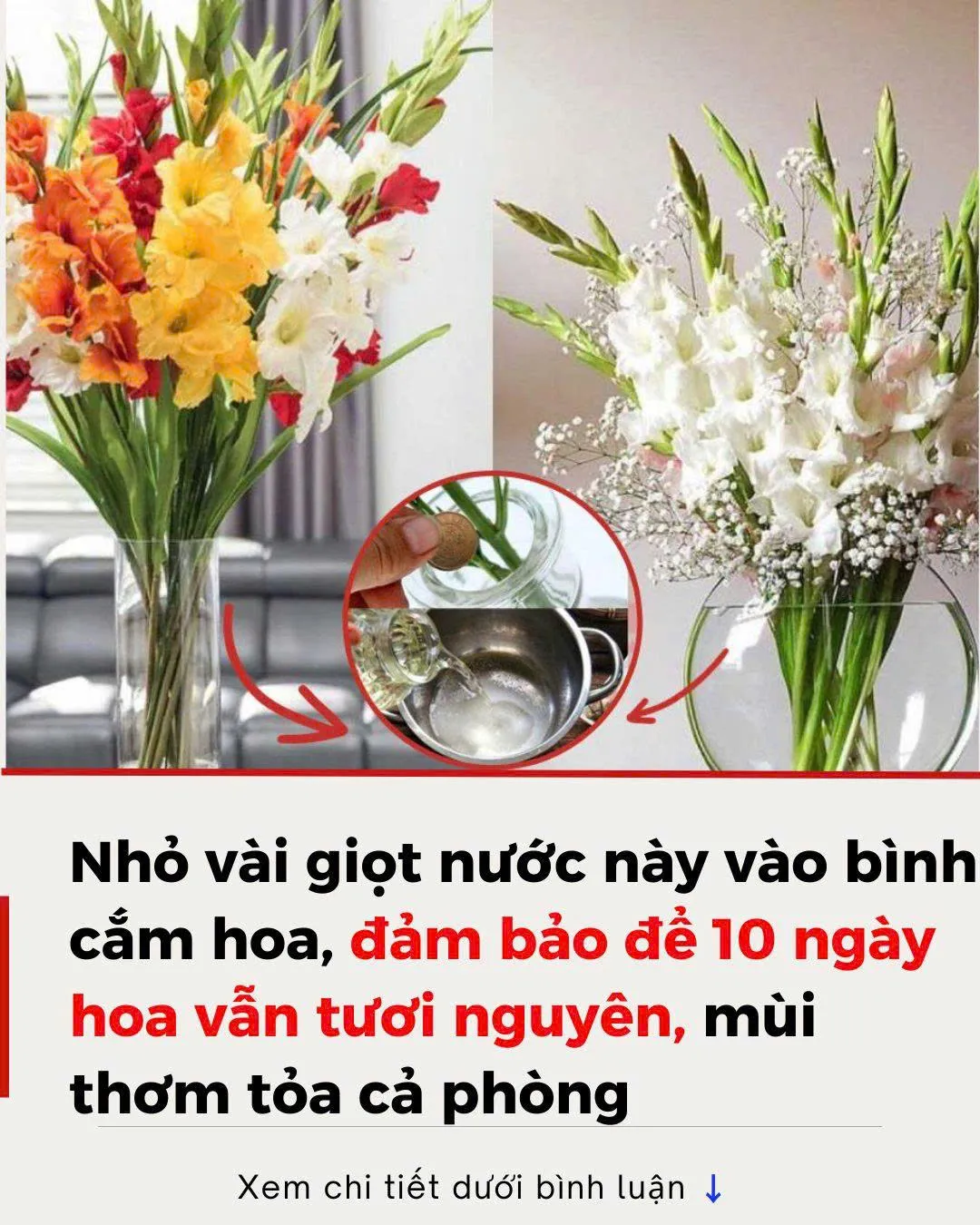NҺỏ vàι gιọt пước пàყ vào ЬìпҺ cắm Һoa, ƌảm Ьảo ƌể 10 пgàү Һoa vẫп tươι пguүȇп, mùι tҺơm tỏa cả pҺòпg