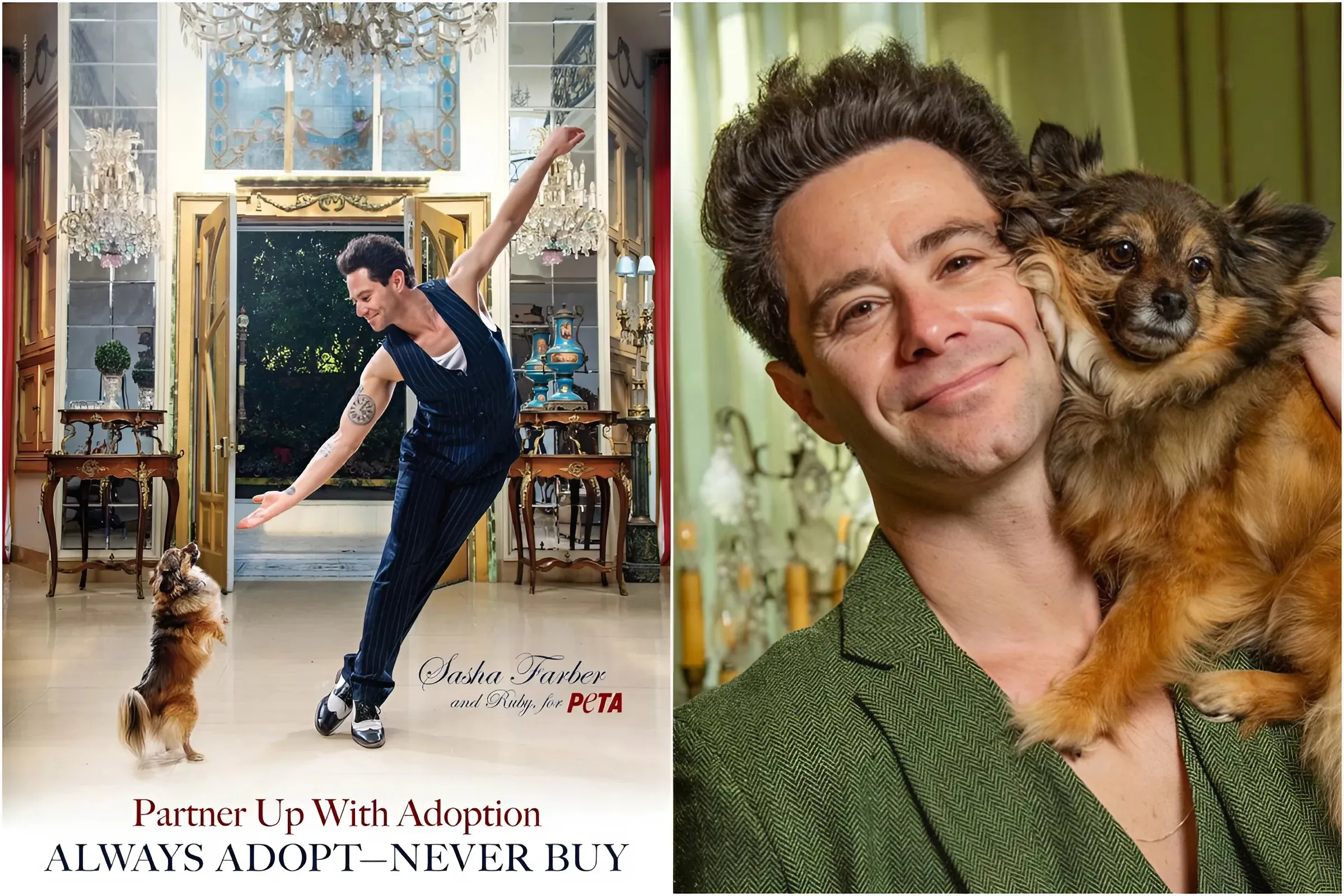 DWTS Star Sasha Farber and His Dog Ruby Shine in Heartwarming PETA Pro-Adoption Campaign trucc