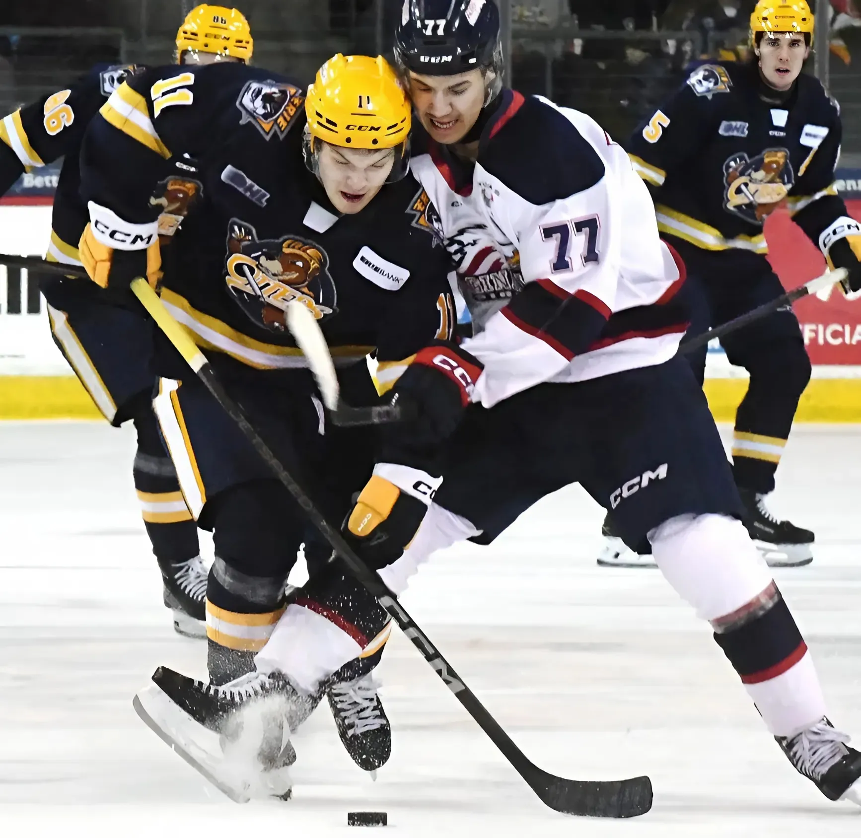 Blackhawks Efforts To Draft Michael Misa Could Be For Nothing
