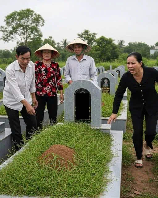 Ở làng Đông, nhà họ Nguyễn vốn là một dòng họ lớn, đông con cháu, nổi tiếng hiếu thảo và đoàn kết
