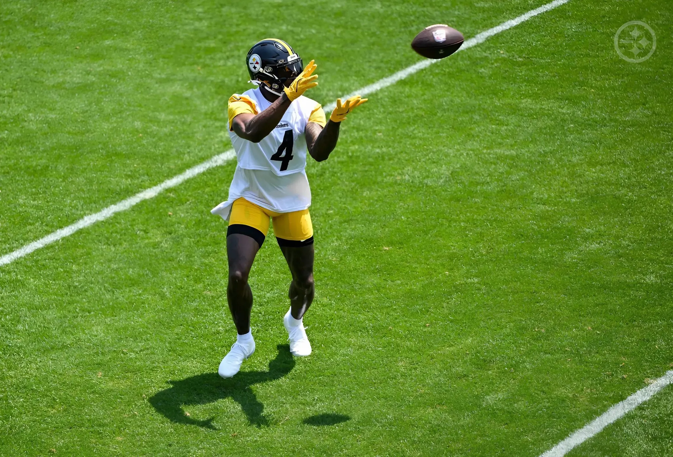 Steelers' DK Metcalf Reveals Why A Successful 2025 Season Is Ahead Between Him And Aaron Rodgers