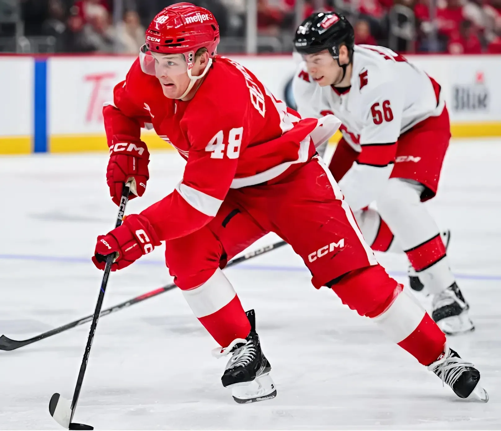 3 difficult decisions the Red Wings will face this offseason