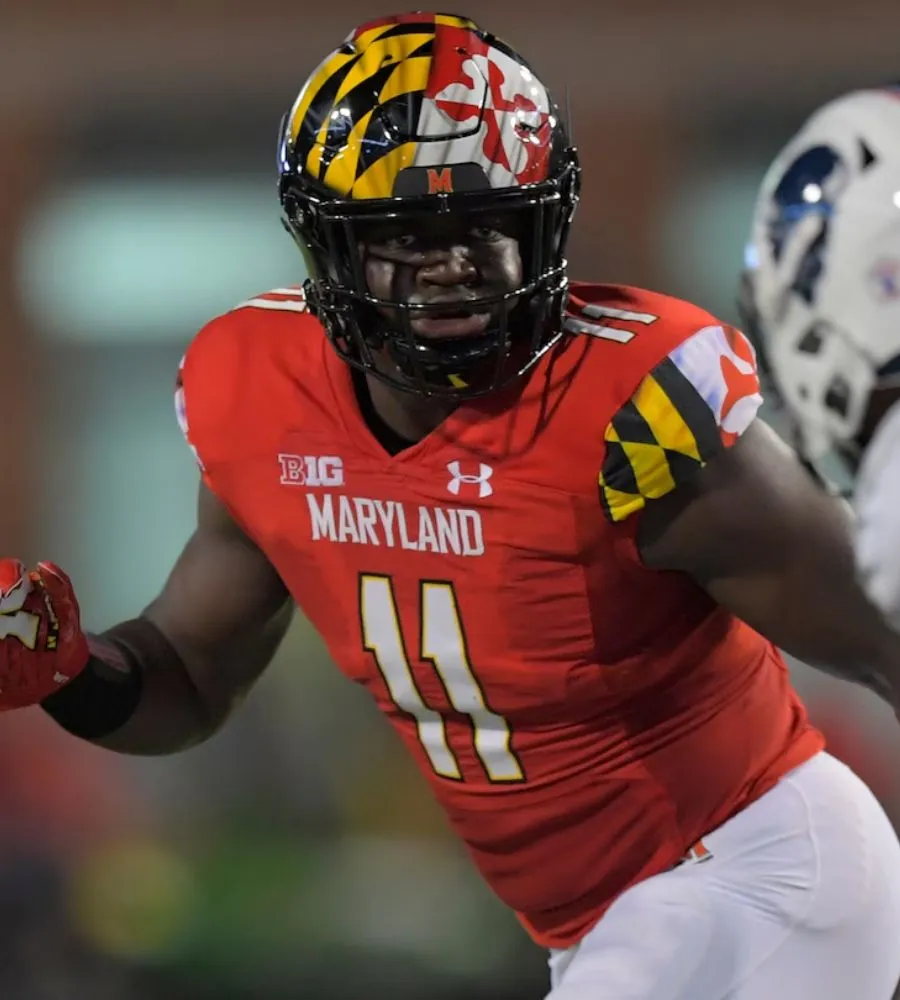 College rivals relishing new dynamic as Bears teammates