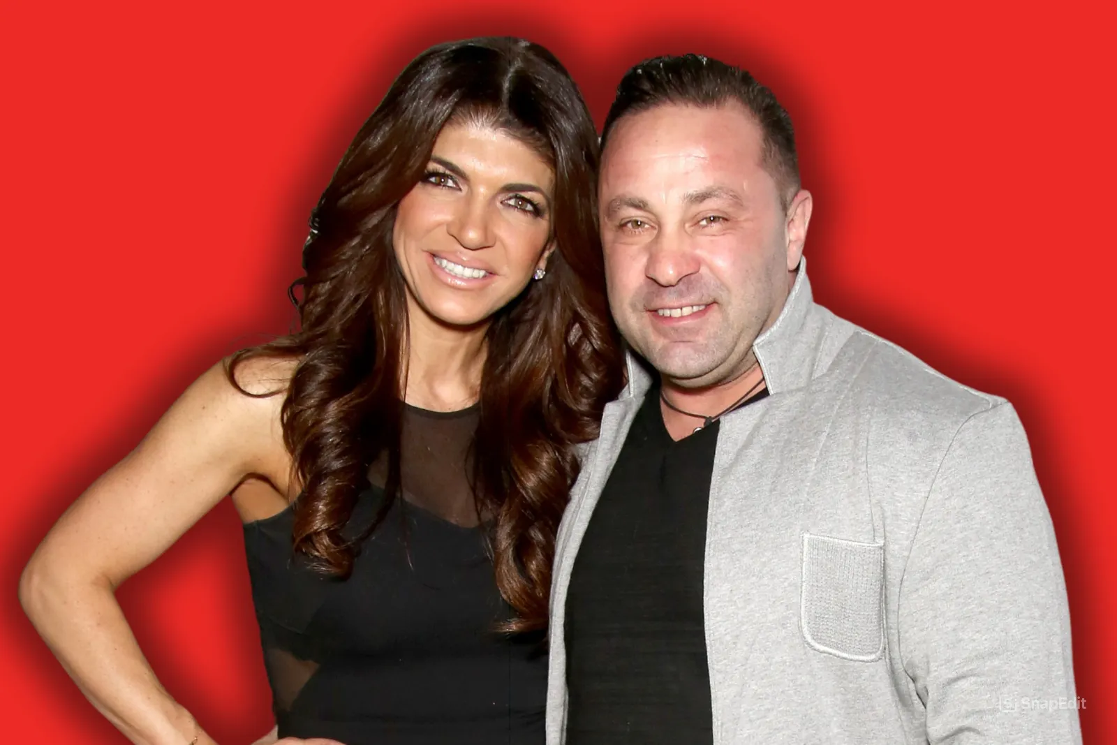 Teresa Giudice Reveals the Major Way She Supported Joe Giudice Financially