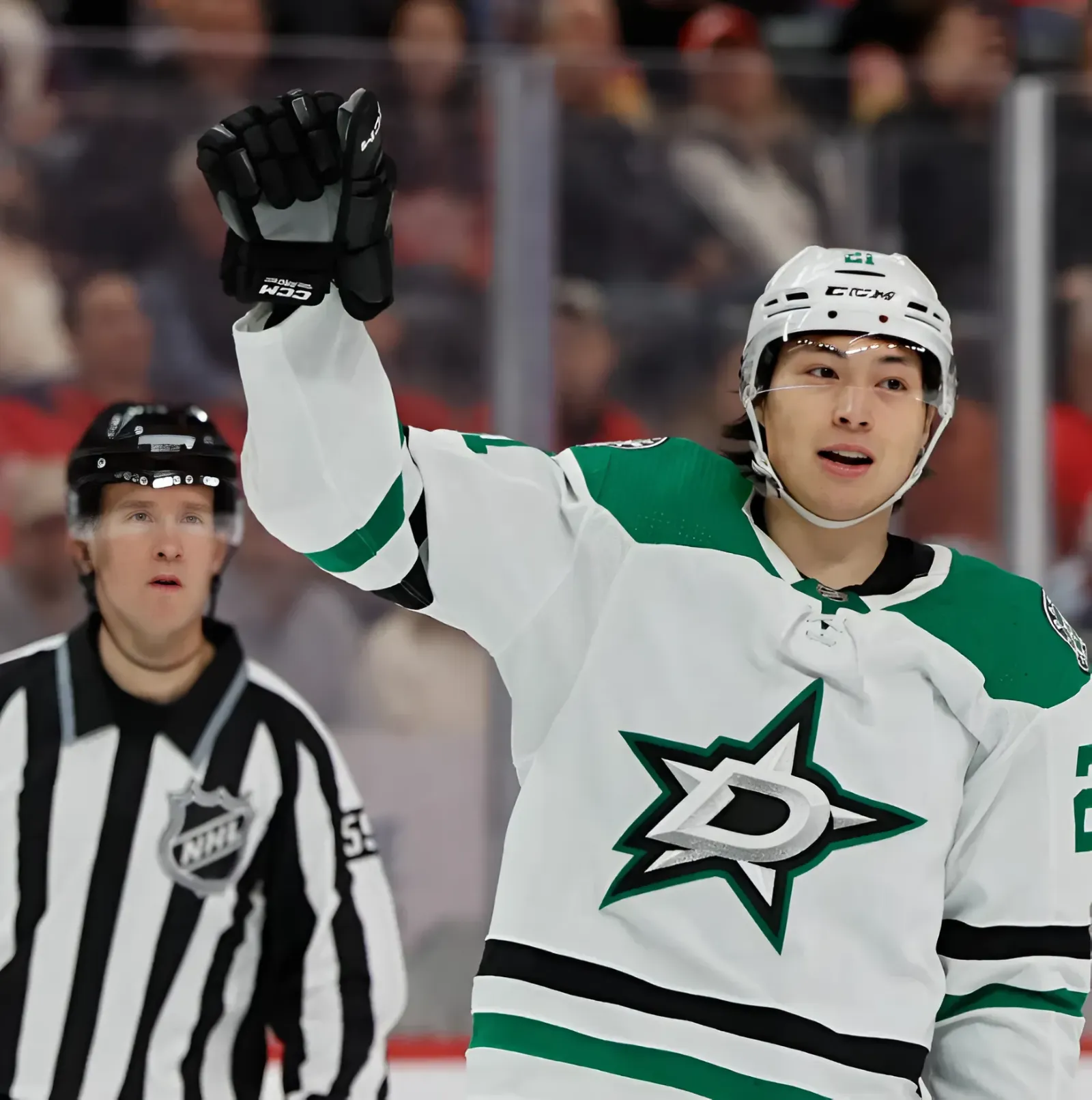 Red Wings Have Pieces to Make Offer for Stars’ Robertson