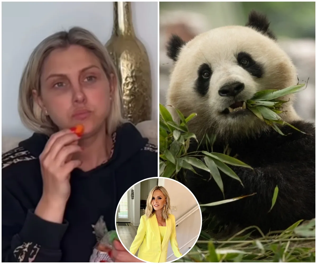 "Tamra Judge Mocks Gina Kirschenheiter With Panda Photo, Prompts New Drama on RHOC"