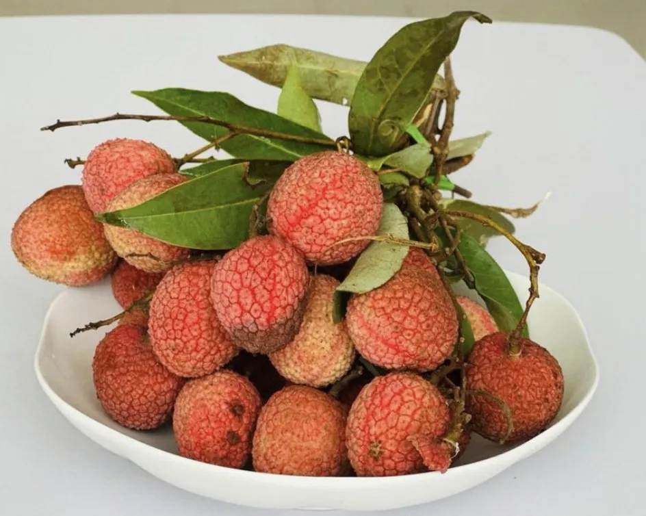 Ăn hơn 100 quả vải, người phụ nữ đột nhiên b;ủn rủn tay chân, chảy m;áu mũi: Đến viện cấp c;ứu mới biết mình đã mắc b;ệnh này