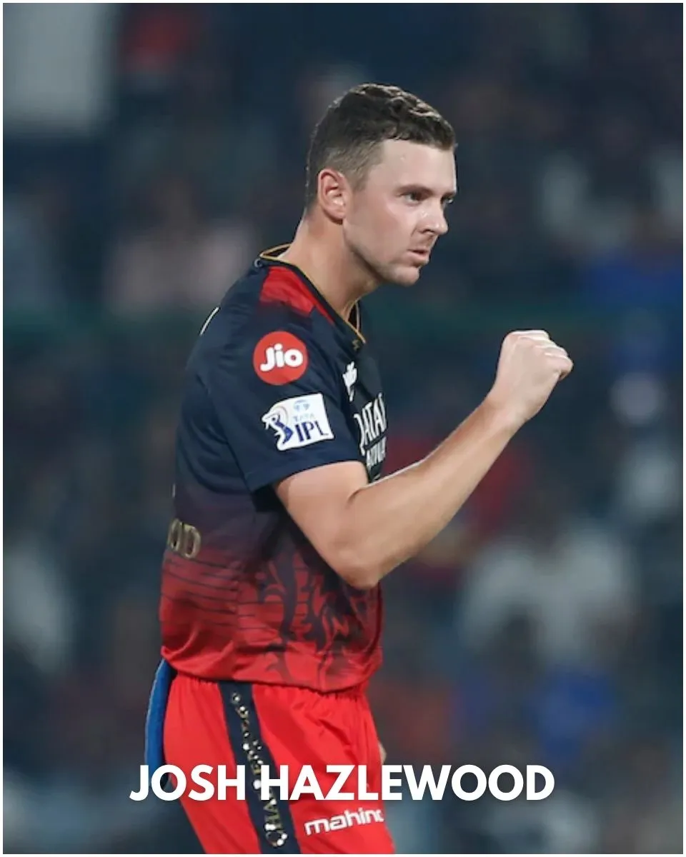 RCB Star Josh Hazlewood Called Out For Prioritising IPL Over Country: "His Decision..."