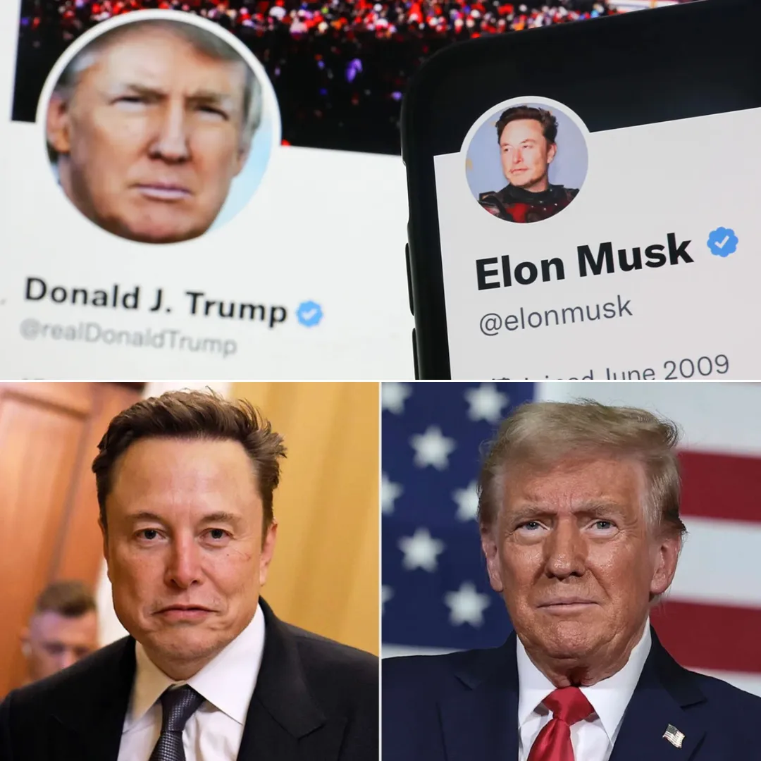 Elon Musk's Public Apology Signals a Shift in His Relationship With Donald Trump