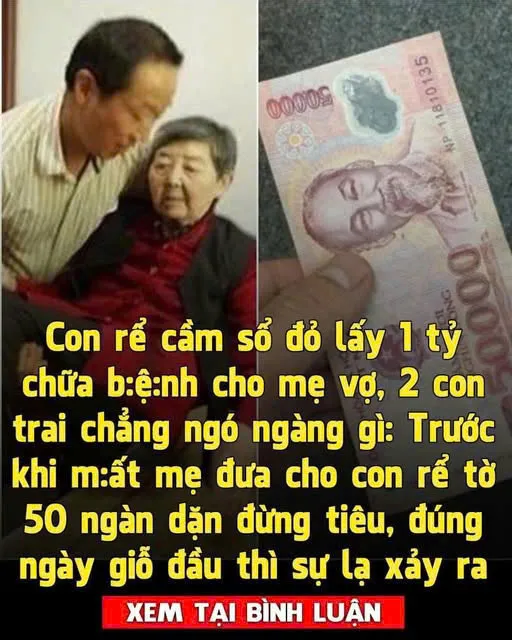 Hết lòng chăm sóc mẹ vợ lúc đ:a:u ố:m, con rể bất ngờ đ:ổi đ:ời nhờ tờ 50 ngàn bà để lại trước khi m:ất Hết lòng chăm sóc mẹ vợ lúc đ:a:u ố:m, con rể bất ngờ đ:ổi đ:ời nhờ tờ 50 ngàn bà để lại trước khi m:ất