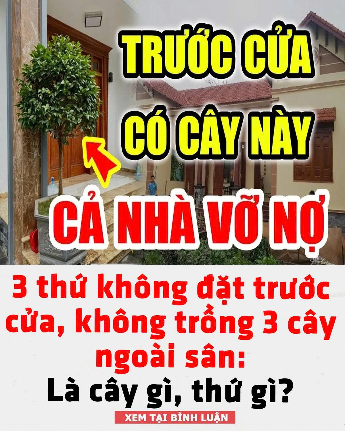 3 thứ không đặt trước cửa, không trồng 3 cây ngoài sân: Là cây gì, thứ gì? 👇👇👇
