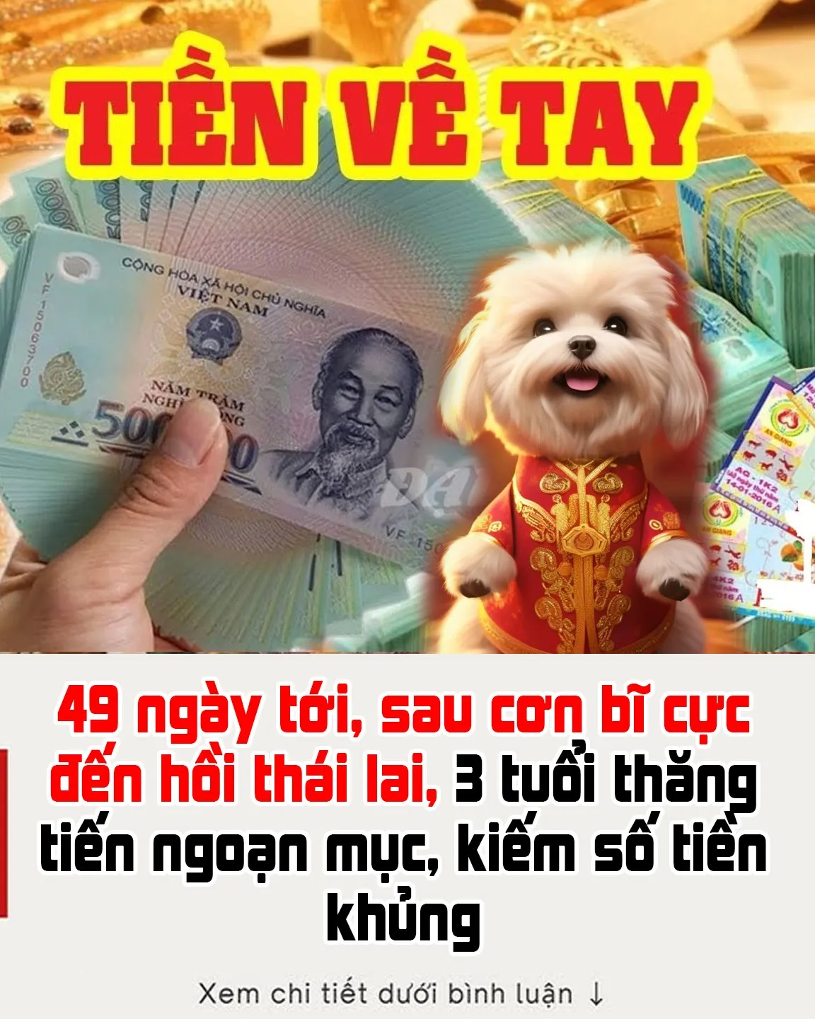 49 ngày tới, sau cơn bĩ cực đến hồi th/á/i lai, 3 tuổi thăng tiến ngoạn mục, k/i/ế/m số t/i/ề/n khủng