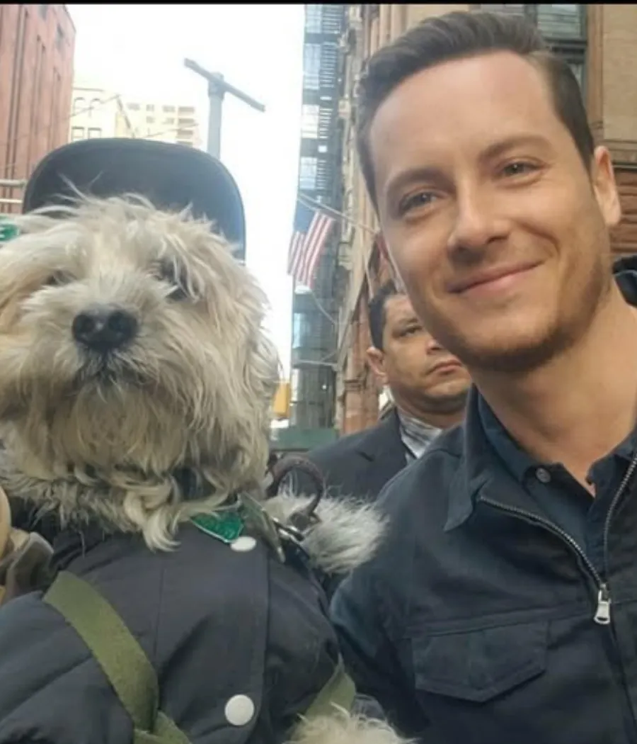 50 Fun Facts About the Cast of ‘Chicago P.D.’ That Will Make You Love Them Even More