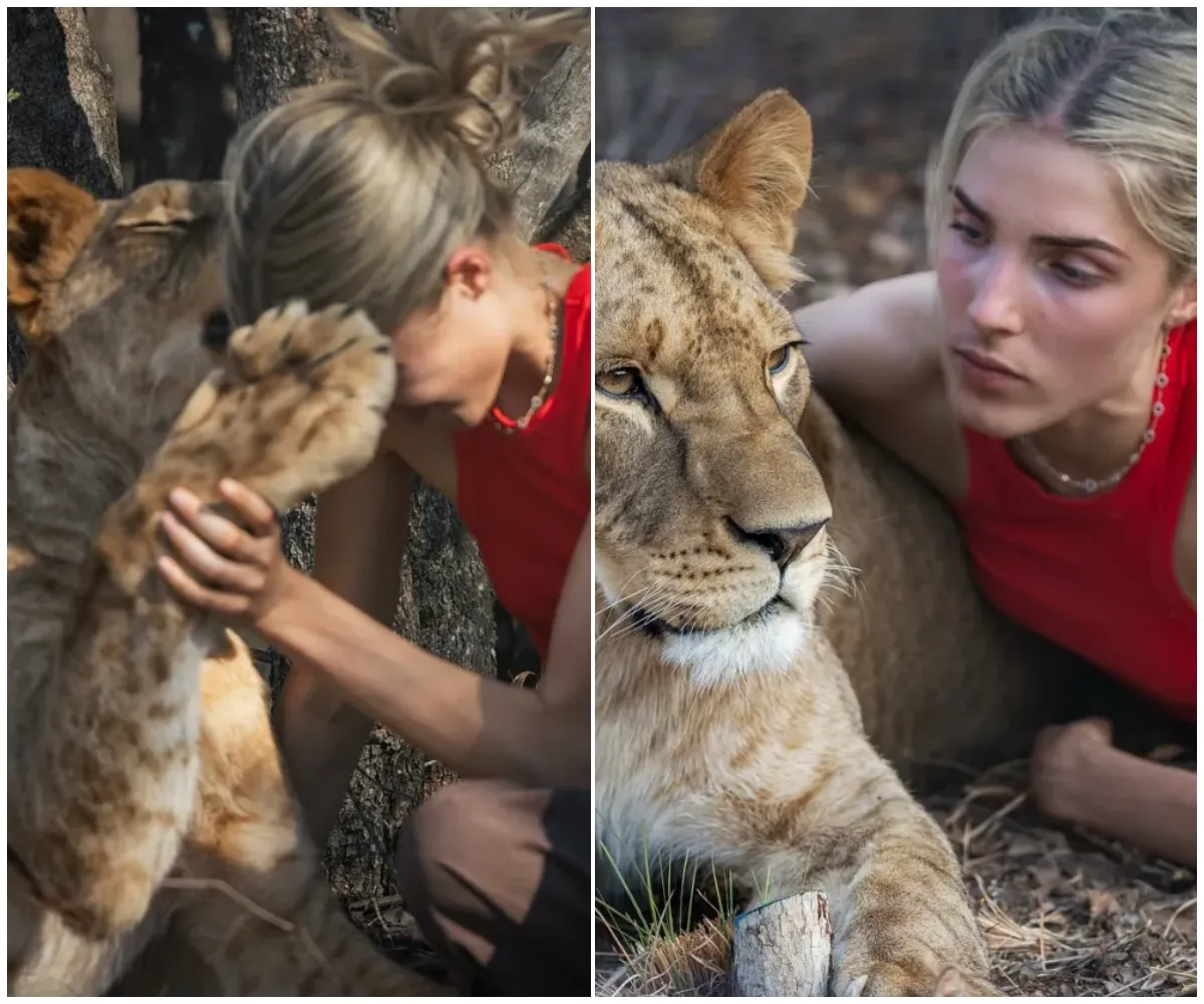 “My beautiful Zemo, I can’t wait to see him again” – Glamorous daughter of 90s TV star cuddles lions in Africa as she follows in her famous family’s wild footsteps… but can YOU guess who her famous parent is? - suong