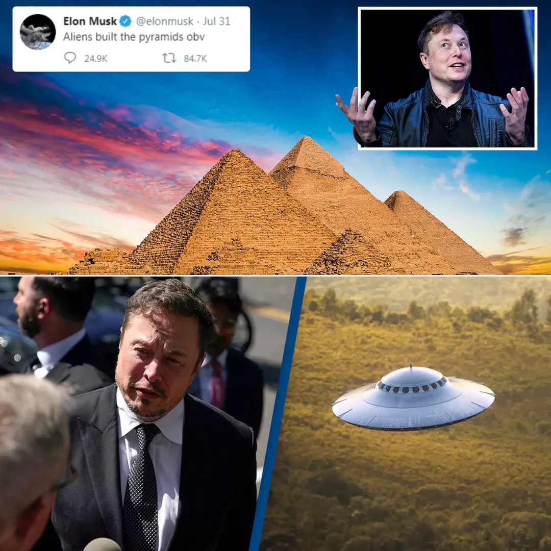 Elon Musk Claims Alien Civilization Could Have Accelerated Human Evolution With Gene Editing Elon Musk Claims Alien Civilization Could Have Accelerated Human Evolution With Gene Editing