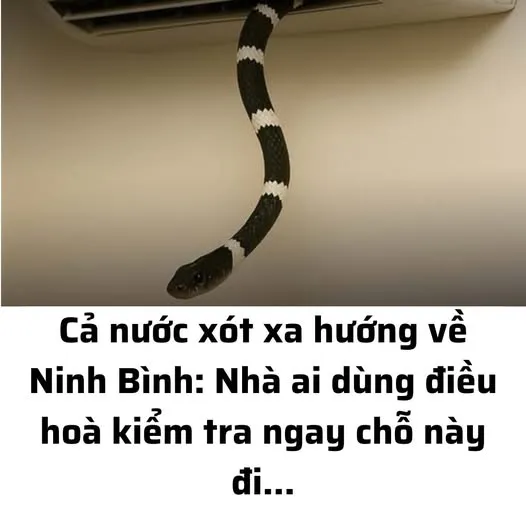 Cả nước xót xa hướng về Ninh Bình: Nhà ai dùng điều hoà kiểm tra ngay chỗ này đi.