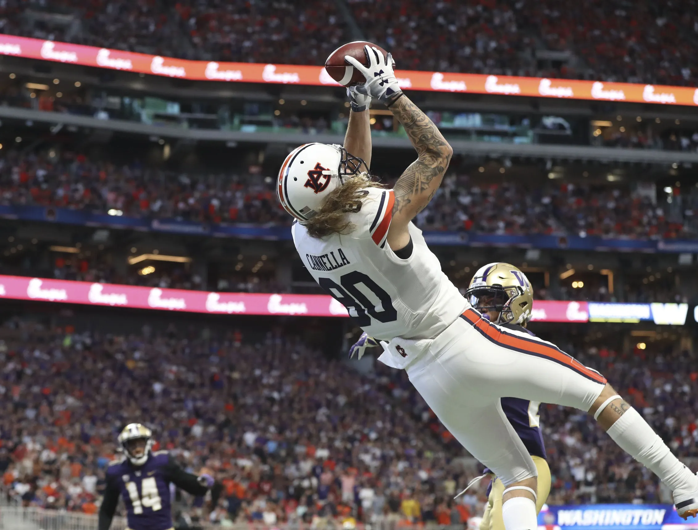 Browns Dump Tight End to Make Room for UFL Star