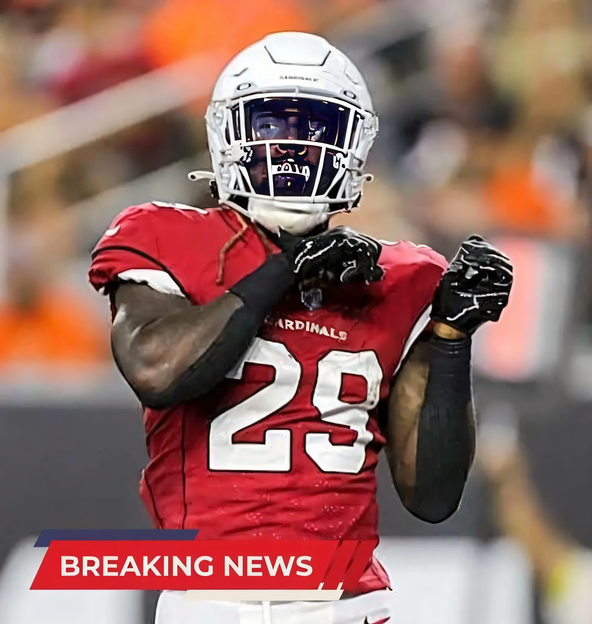 BREAKING: Pittsburgh Steelers Release Former Arizona Cardinals RB