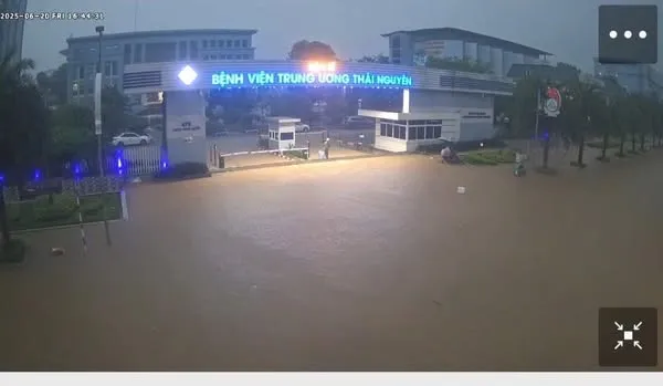 Thái Nguyên ngay lúc này: Nhiều bà con lên mạng 'k:.ê:.u c:.ứ:.u', sao mà x:.ót xa quá