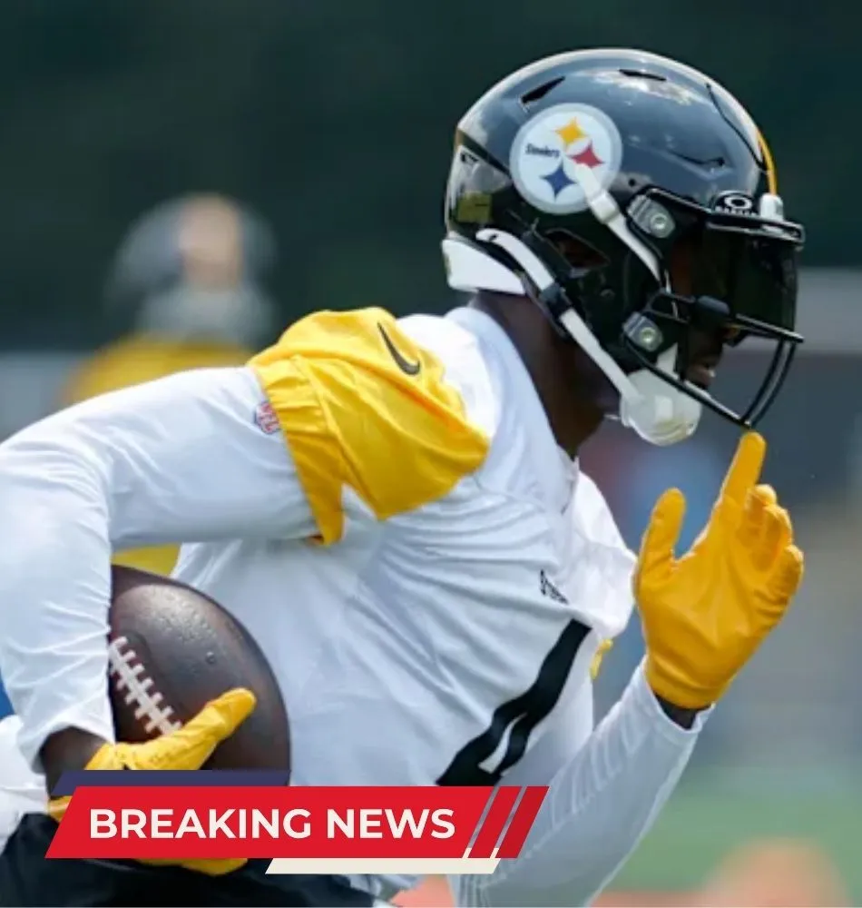 D.K. Metcalf Labeled Steeler's Worst Contract