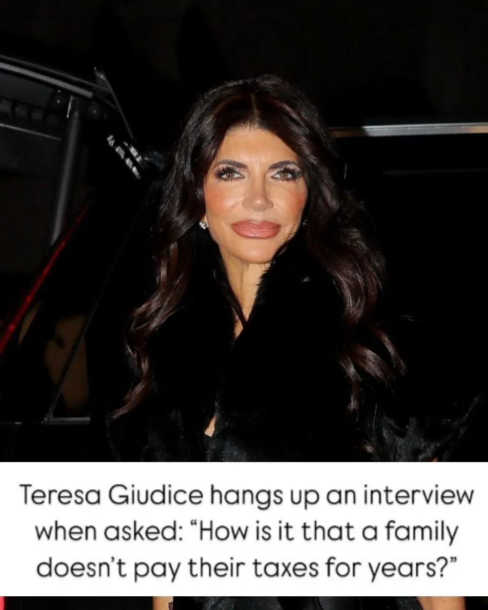 VIDEO: Teresa Giudice Hangs Up on Interviewers When Asked About Taxes, See Deleted Video as RHONJ Star Wonders Who Host is Talking About Before Cutting Interview Short