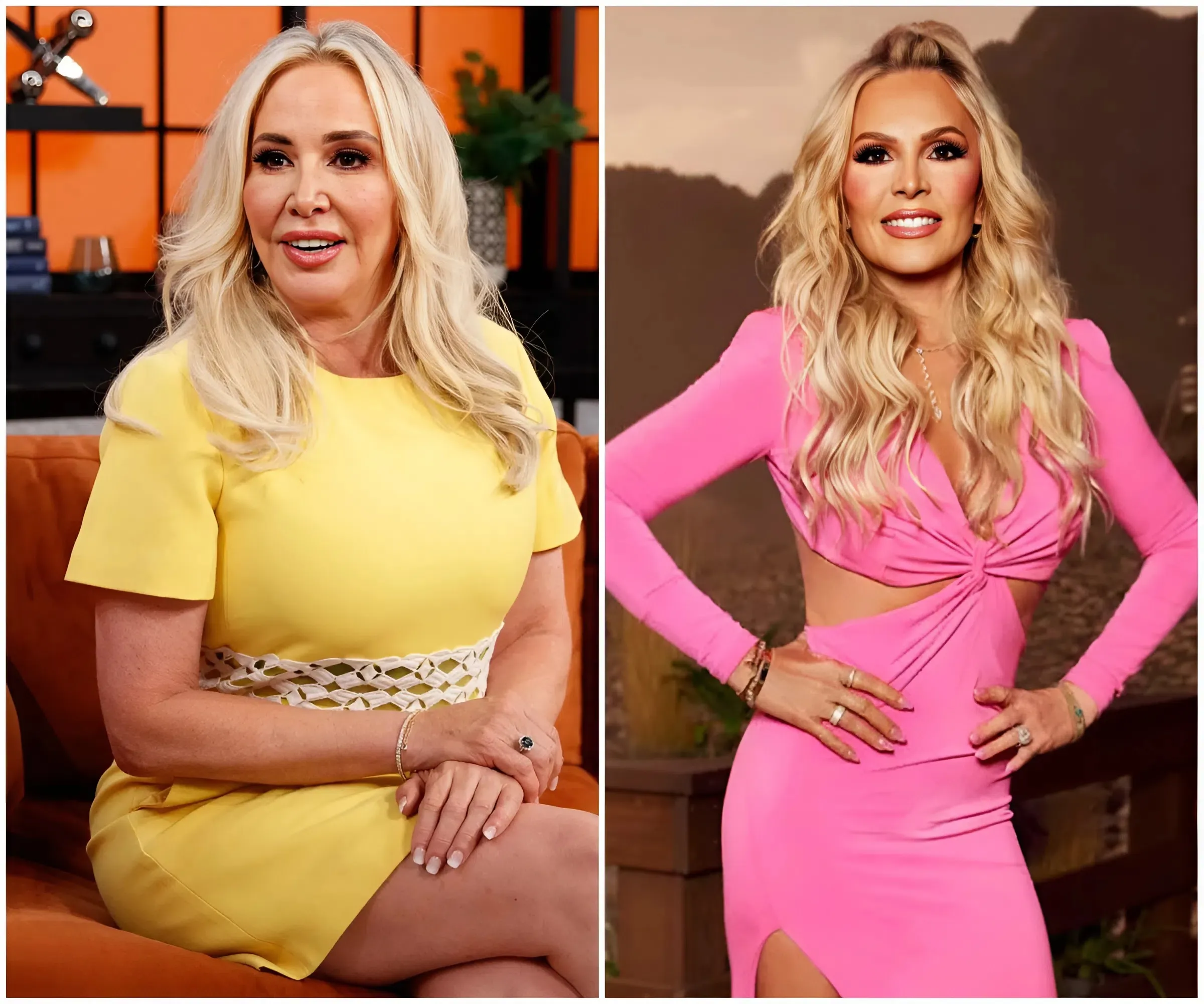 "Shannon Beador Shocks By Mocking Tamra Judge As 'Photoshop God' On Instagram After Tamra Shows Off Bold Bikini Photos"