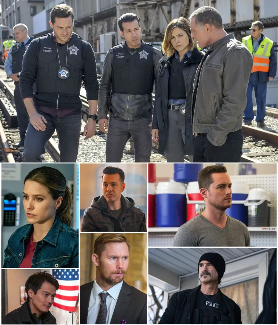 The Most Shocking Cast Exits From Chicago P.D. Since Season 1