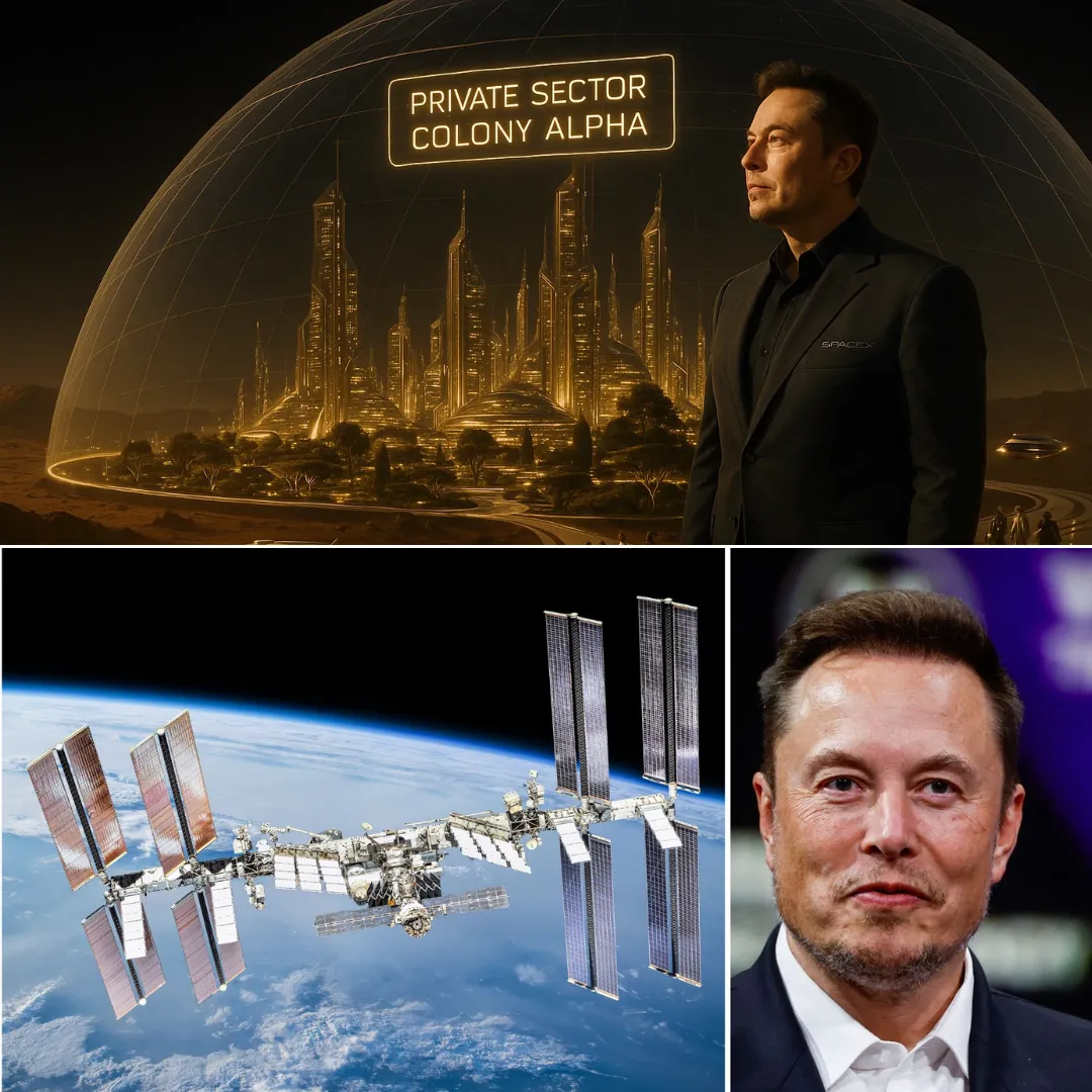 Elon Musk's Plan to Build Independent Space Cities for Billionaires
