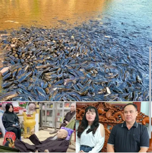 Vét sạch cá trê trong ao Tịnh thất Bồng Lai để tìm Diễm My, bố mẹ r;uột k;hóc n;gất t;iết l;ộ tin đ;au lòng