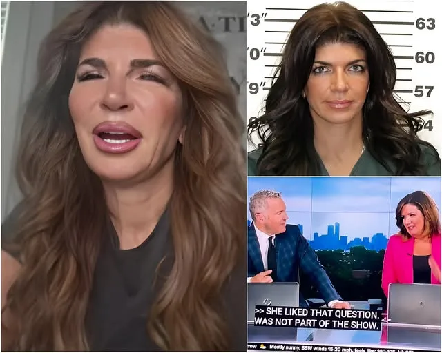 Teresa Giudice abruptly ends interview when asked about tax fraud